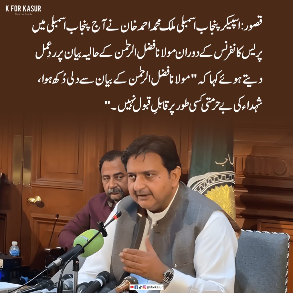 مولانا فضل الرحمٰن کے بیان سے دلی دُکھ ہوا، شہداء کی بے حرمتی کسی طور قابلِ قبول نہیں: ملک احمد خان