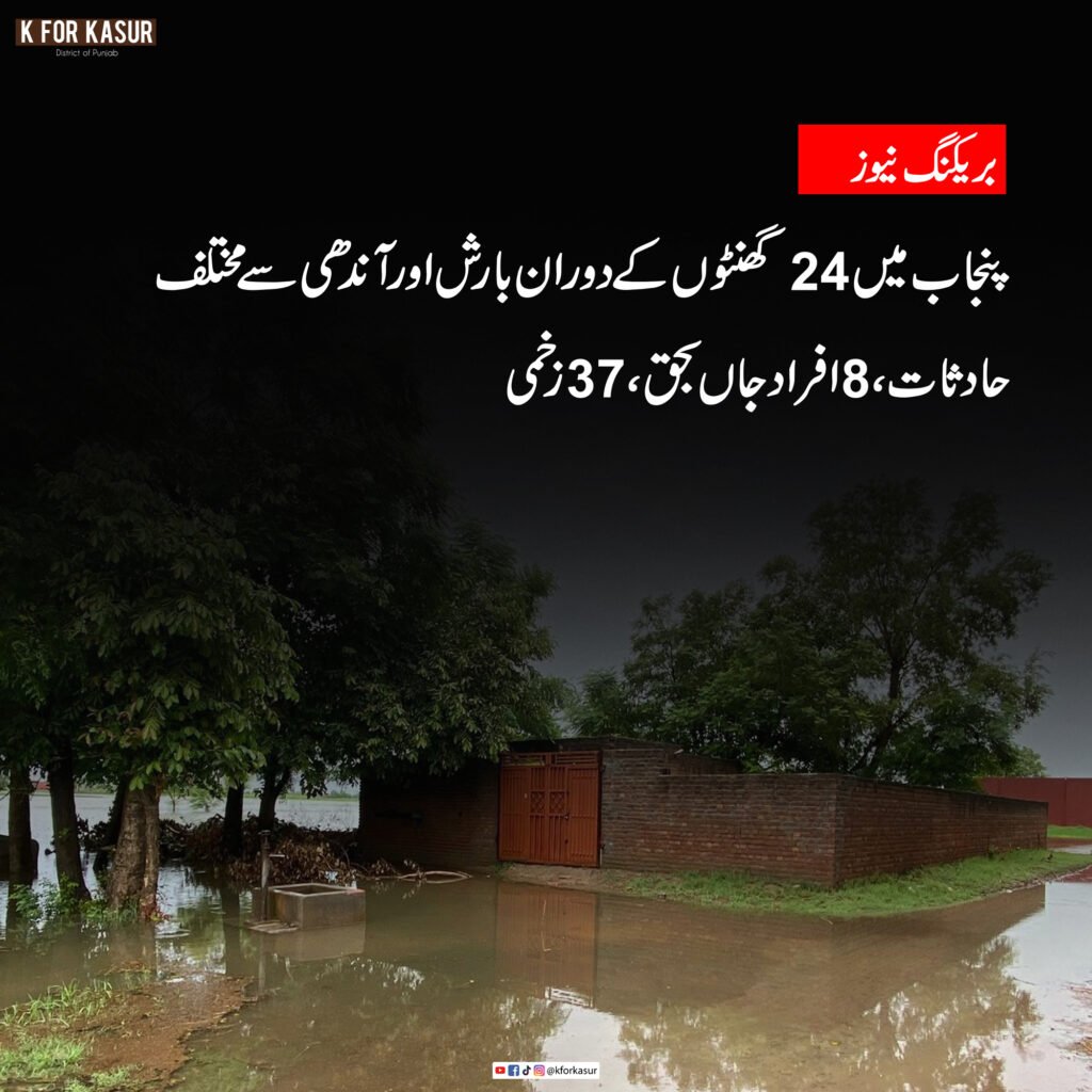 پنجاب میں 24 گھنٹوں کے دوران بارش اور آندھی سے مختلف حادثات، 8 افراد جاں بحق، 37 زخمی
