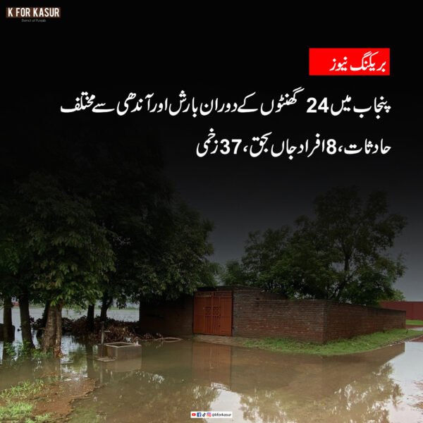 پنجاب میں 24 گھنٹوں کے دوران بارش اور آندھی سے مختلف حادثات، 8 افراد جاں بحق، 37 زخمی