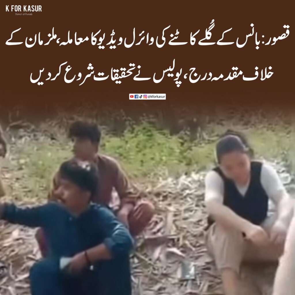 قصور: بانس کے گُلے کاٹنے کی وائرل ویڈیو، پولیس نے مقدمہ درج کر لیا