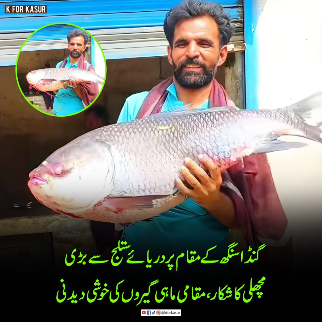 قصور: مقامی ولاگر عبد الرحمن کے مطابق گنڈا سنگھ سے دریائے ستلج میں 14 کلو وزنی مچھلی کا شاندار شکار
