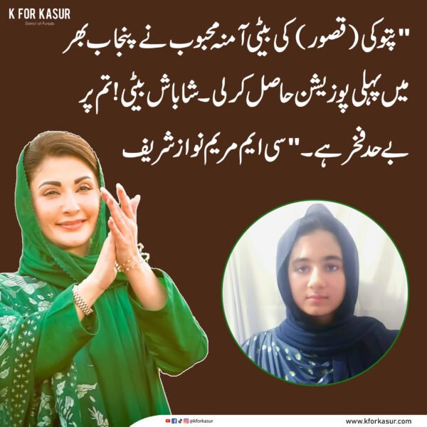 وزیراعلیٰ مریم نواز نے پتوکی کی آمنہ محبوب کو پنجاب بھر میں پہلی پوزیشن پر مبارکباد دی