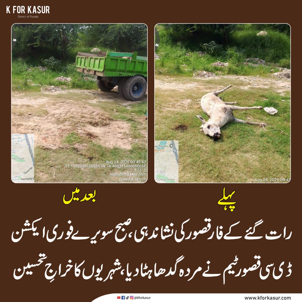 کے فار قصور کی نشاندہی پر فوری ایکشن، ڈی سی قصور ٹیم نے صبح مردہ گدھا ہٹا دیا